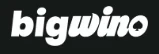 Bigwino logo